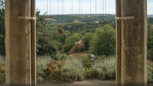 Ceramic birds suspended in a stone arch with the valley beyond